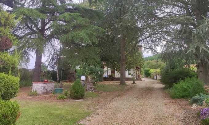 Couffy House | Charming gîte at the gates of Beauval zoo park