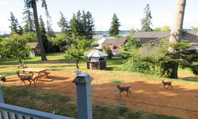 Courtenay Apartment | Charming Half-Duplex with a Lovely Ocean View Steps from Royston Seaside Park!