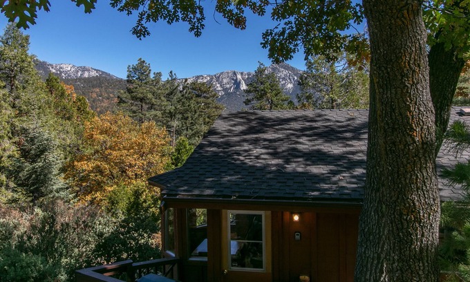 Pine Cove Cabin | Charming Hot Tub Cabin