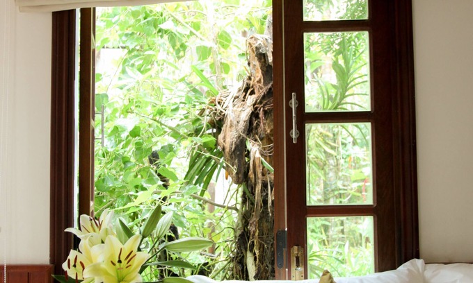 Hoi An City Centre House | Charming Homestay