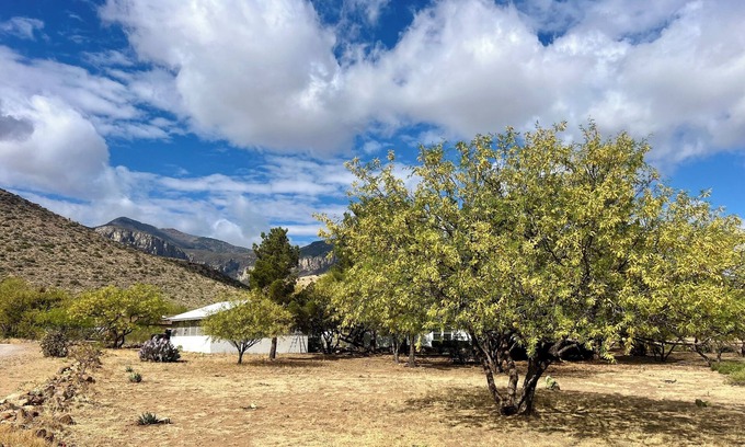Sierra Vista Southeast House | Charming house in serene Hereford with gorgeous mountain views.