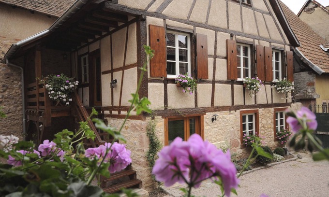 Bergheim House | Charming house on the wine route in the "VILLAGE PRÉFÉRÉ DES FRANÇAIS 2022" (FRENCH FAVORITE VILLAGE 2022)