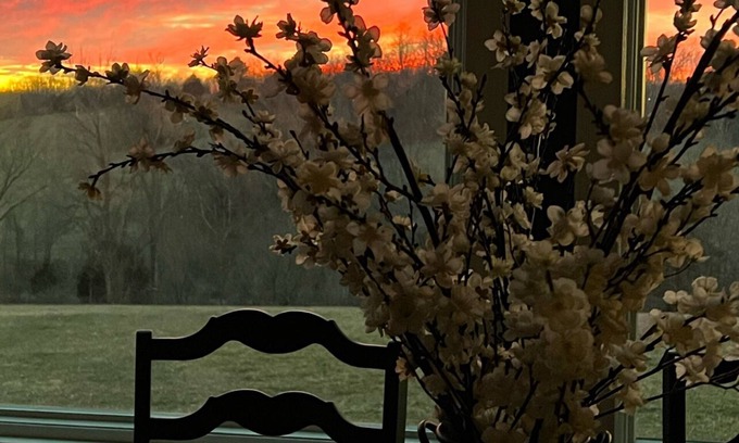 Moorefield Other | Charming Kentucky RanchnSharpsburg Ky