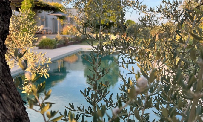 Puyvert House | Charming lodge near Lourmarin, olive grove pool and 11kW recharging point