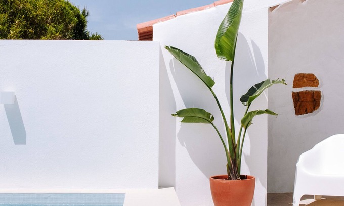 Mafra House | Charming loft with private heated* plunge pool and garden + shared swimming pool
