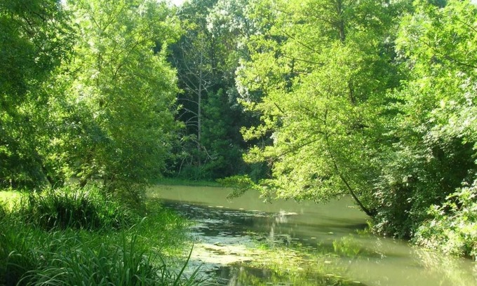 Azay-le-Rideau House | Charming Loire Valley Escape
