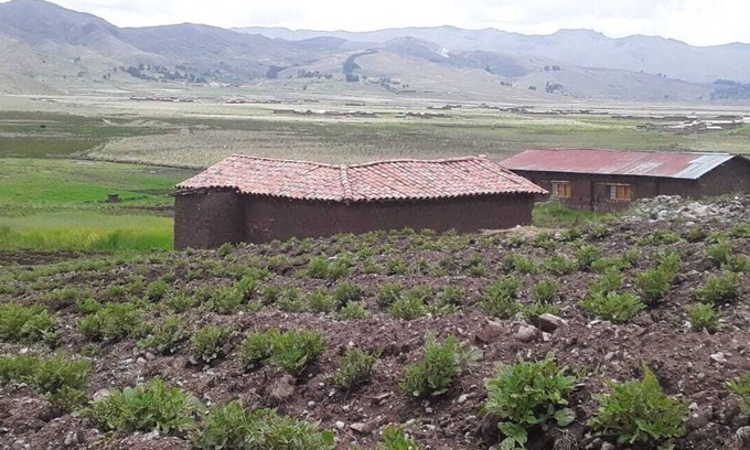 Yanaoca House | Charming Rural House in Yanaoca