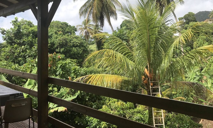Capesterre-Belle-Eau Apartment | Charming studio under the coconut trees