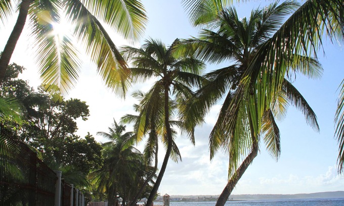 L'Autre-Bord Apartment | CHARMING STUDIO THE ALIZES THE MOLD