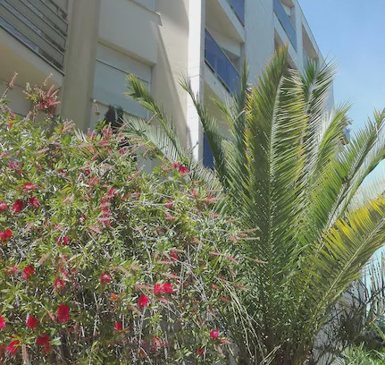 Arcachon Apartment | Charming two rooms near the beach and the center