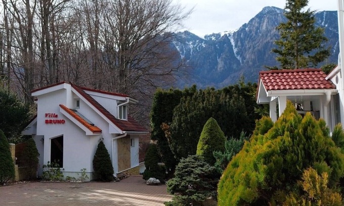 Busteni Villa | Charming villa with 1 bedroom and WiFi, AC in lovely Bușteni