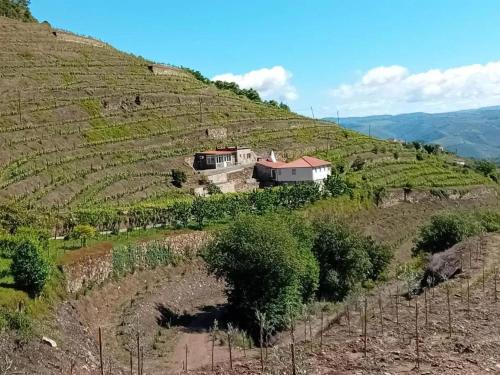 Lamego Villa | Charming Villa with Pool in Lamego