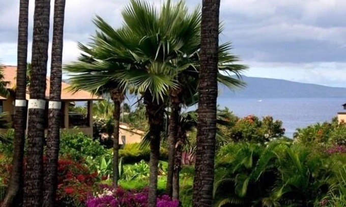 Wailea Condo | Charming Wailea Ekahi Condominium