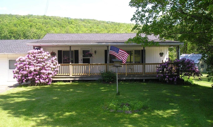 Wellsboro Cabin | Charming Wellsboro Cabin w/Magnificent Views/AC/WiFi/5 mins to Center of Townn