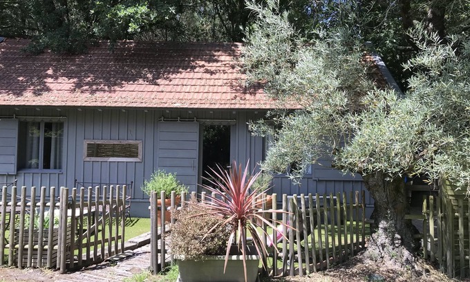 Biganos Cottage | Charming wooden house* typical of the Basin in the heart of the forest with bicycles