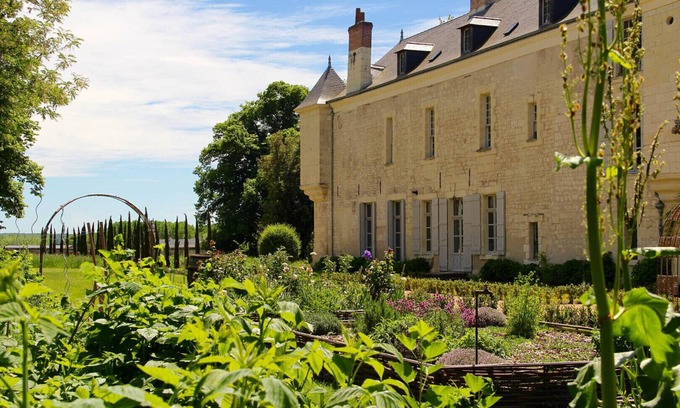 Ingrandes-de-Touraine Other | Château de Minière- Stay in the heart of the vineyards-16 people