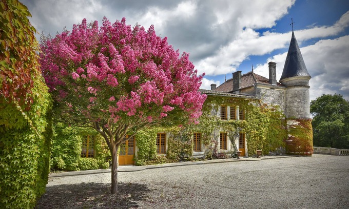 Saint-Sulpice-de-Cognac Other | Château du Plessis - a magnificent château in the heart of the Cognac vineyards