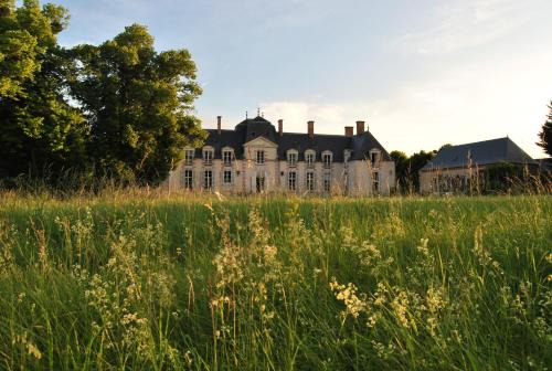 Baccon Bed & Breakfast | Chateau La Touanne Loire valley