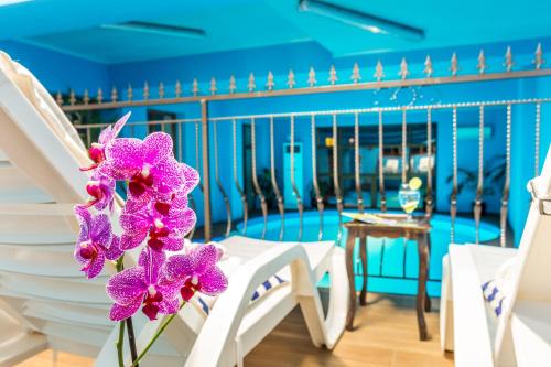 Troyan Hotel | Chateau Montagne Hotel Troyan