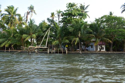 Kumbalam House | Cheenavala Fishing Homestay