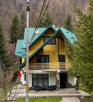 Bradetu House | Cheile Valsanului