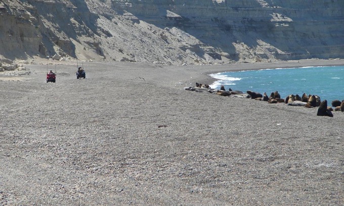 Trelew Hotel | Cheltum Hotel