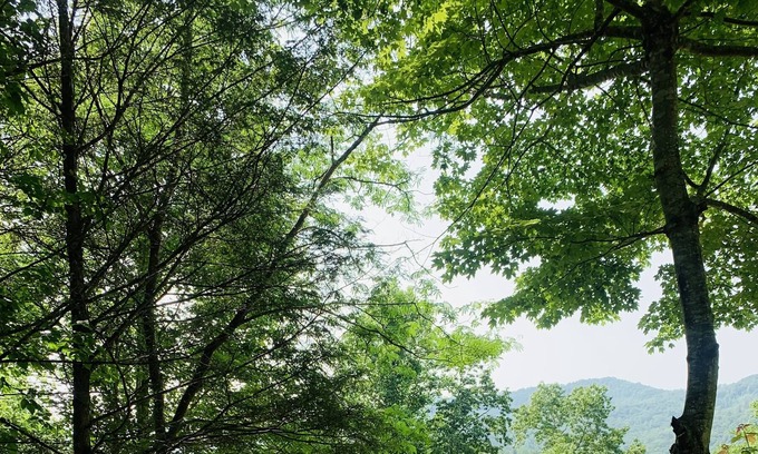 Robbinsville Cottage | Cheoah lake cottage