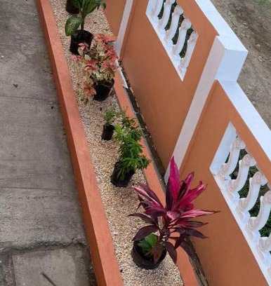 Oranjestad Apartment | Cherry Tree Villa