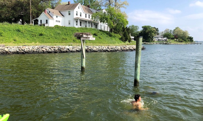 Lusby Other | Chesapeake Bay Waterfront 5+ Bedroom 7-Acre Historic Farm Near Solomons Island