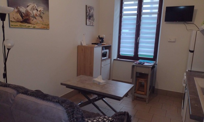 Bourbonne-les-Bains Apartment | Chez Caroline, RDC near the spa