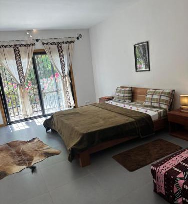 St. Louis House | Chez Diarra