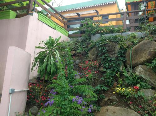 Saint-Paul Bed & Breakfast | Chez Dolores