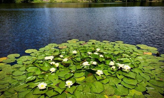 Ceyroux Cottage | Chez Fenz Ferme et gite Private lake and gite surrounded by 70 acres of nature
