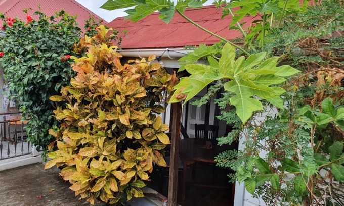 Le Marigot House | Chez Gisèle et Philippe Jardin