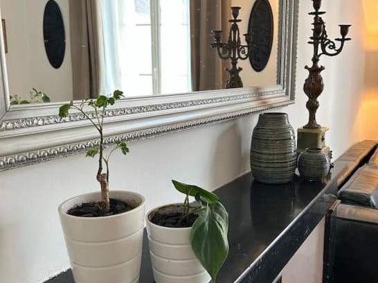 Cosne-Cours-sur-Loire Apartment | Chez La Vieille Dame