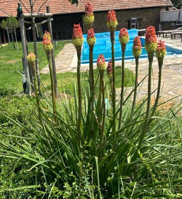Balkan Mountains House | Chez le Colonel Pool House