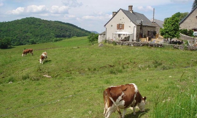 Sauvat House | Chez Marraine