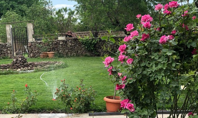 Garni Bed & Breakfast | Chez Yvette
