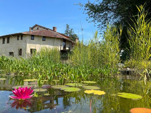 Samouillan House | ChezLeMoulin-Boulangerie