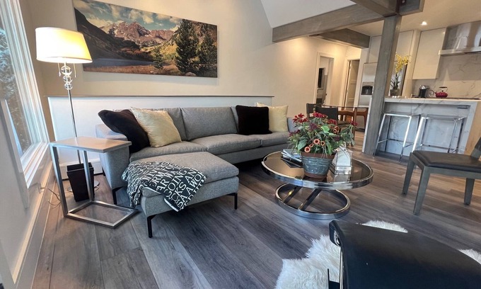 Aspen Condo | Chic new rehab near gondola, walk everywhere, fall in Aspen. Large 2BR 2 floors.