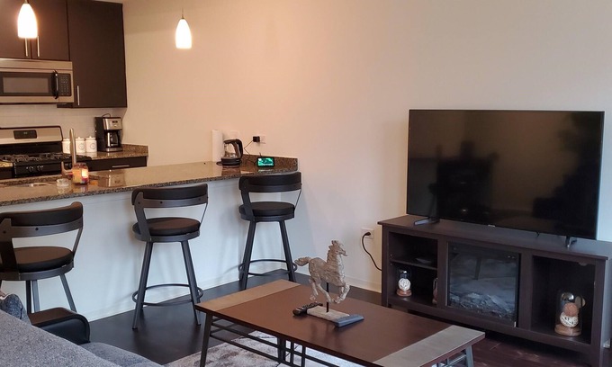 Evanston Condo | Chicago's Hidden Treasure, "EVANSTON, IL"