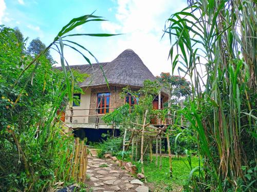 Kibale Resort | Chimpanzee Capital Safari Lodge