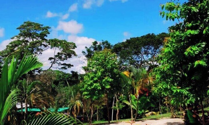 La Banda de Shilcayo Cabin | CHOCLINO ECOLODGE BUNGALOWS
