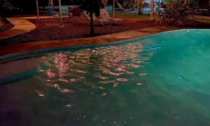 La Fortuna House | Chongos Place