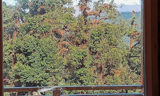 Dugalbitta Hotel | Chopta Resort