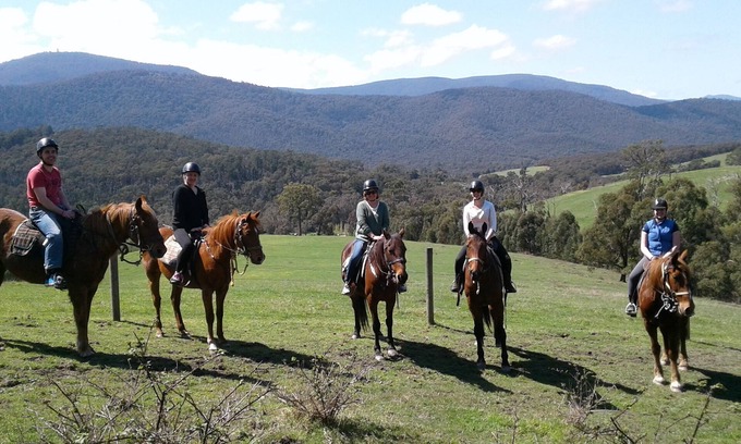 Chum Creek Cottage | Chum Creek Hut - Luxury Country Cottage on beautiful horse property.