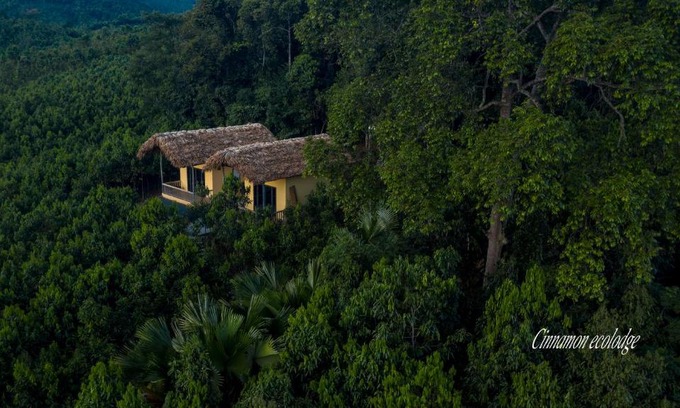 Xuan Hoa Cabin | Cinnamon Eco Lodge