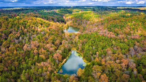 Eureka Springs House | Cinnamon Valley