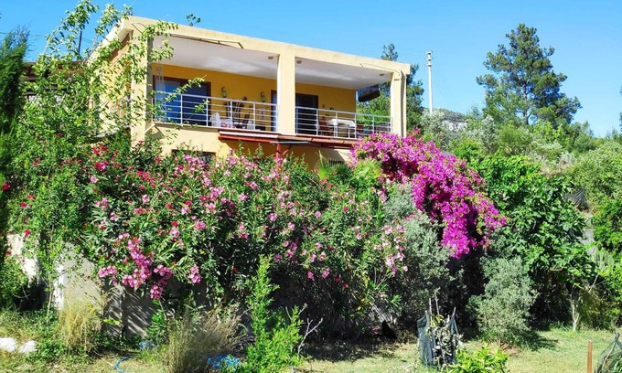Cirali House | Cirali Sunny House - On the Road to Ciralı Beach