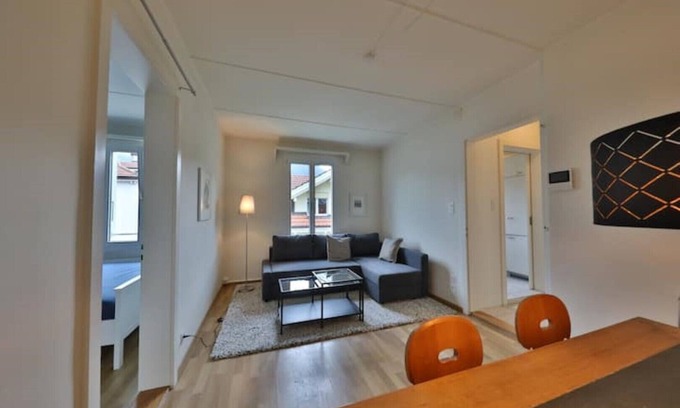 Central Interlaken Apartment | City Center Union 5 Apartment